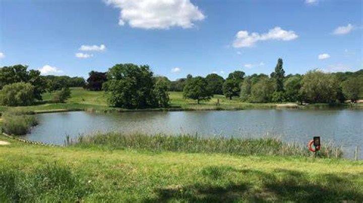 Are hampstead ponds safe?