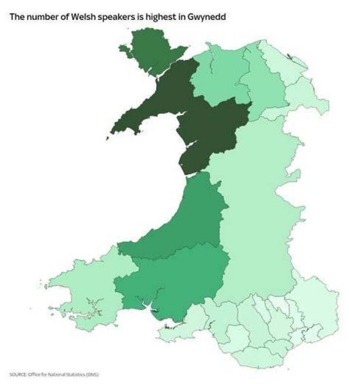 Are there any monolingual welsh speakers?