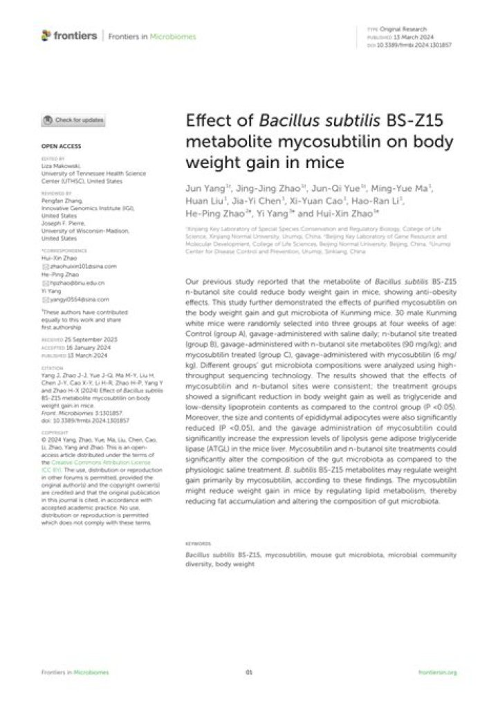 Can bacillus subtilis help with weight loss?
