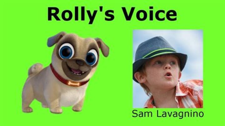 Did bingo and rolly voices change?
