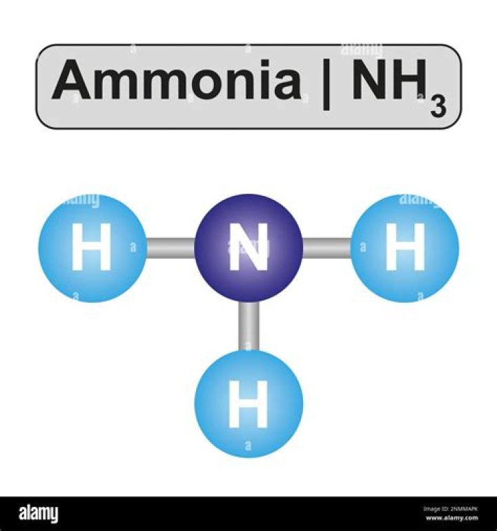 How ammonia smells like?
