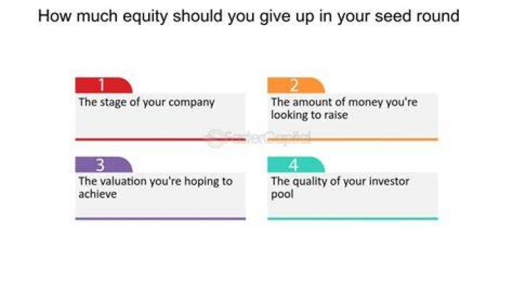 How much equity to give in seed round?