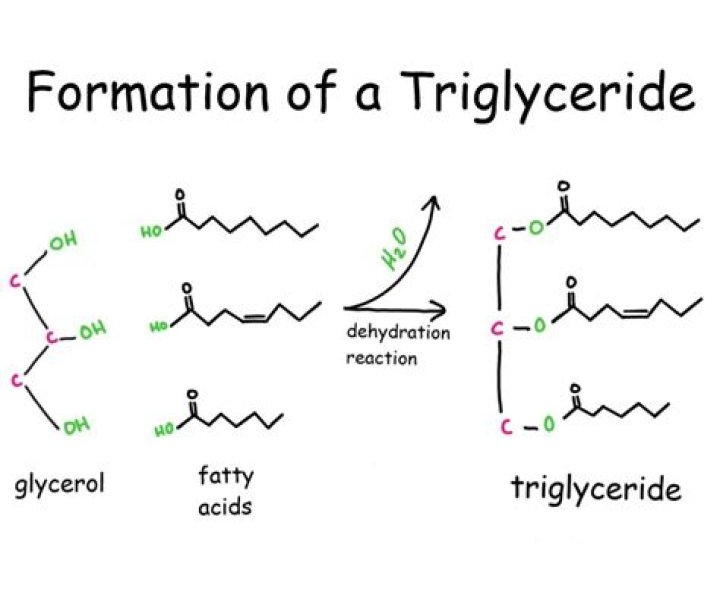 How to make caprylic/capric triglyceride?