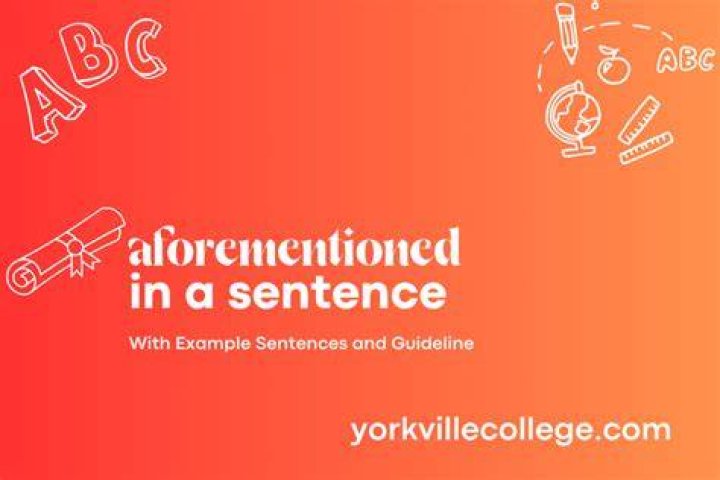How to write aforementioned in sentence?