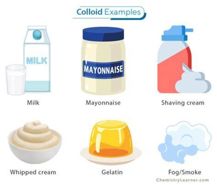 In what category of colloids does marshmallow belongs?