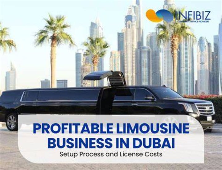 Is limousine business profitable?