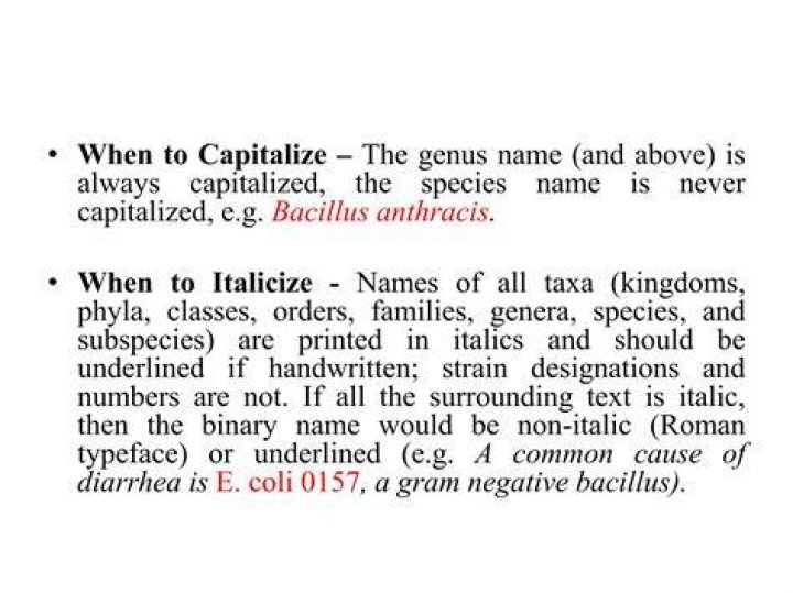 Should bacteria names be italicized?