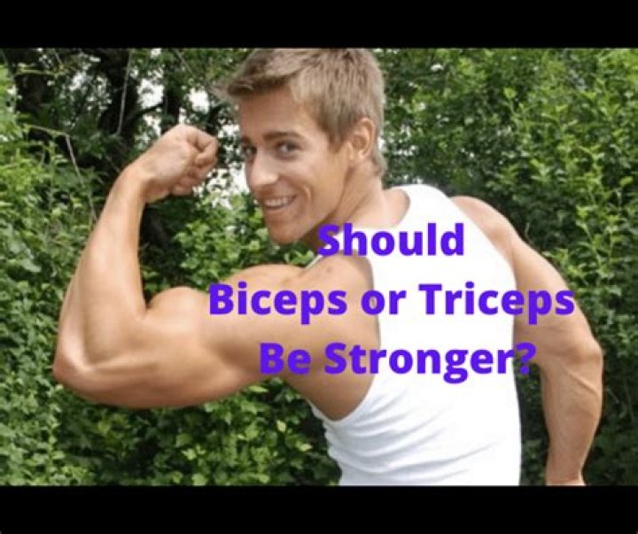 Should biceps or triceps be stronger?