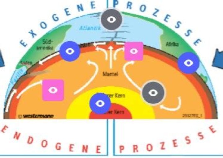 Was bedeutet endogen und exogen?