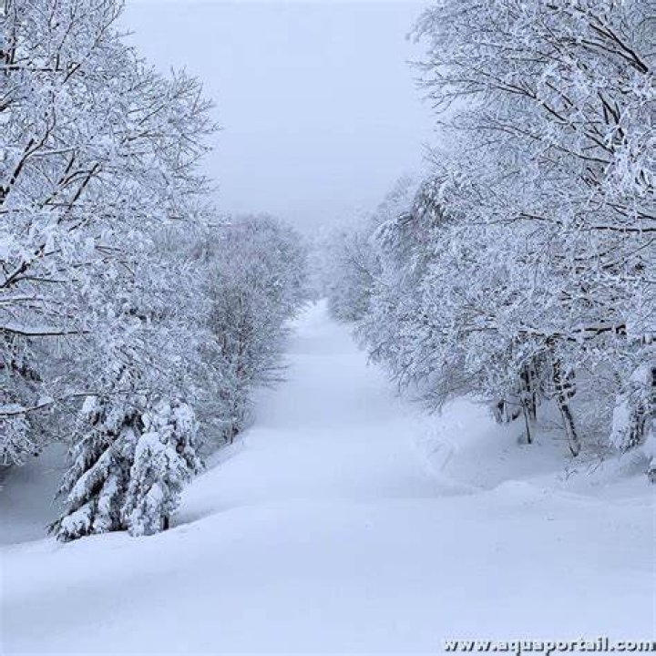 What's the meaning of hiver?