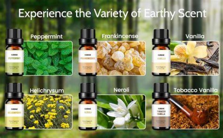 What are earthy scents?
