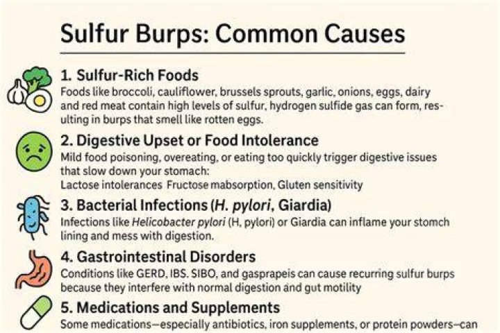 What causes sulfur burps?