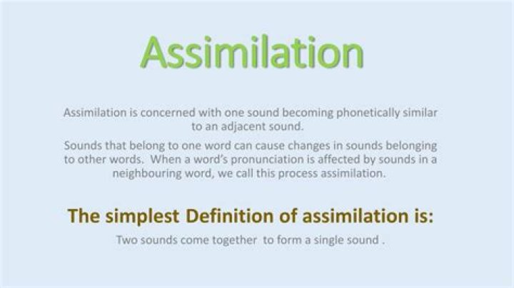 What does assimilated mean?