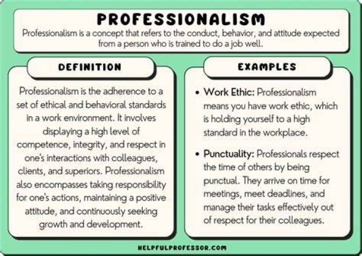 What does professionalism look like?