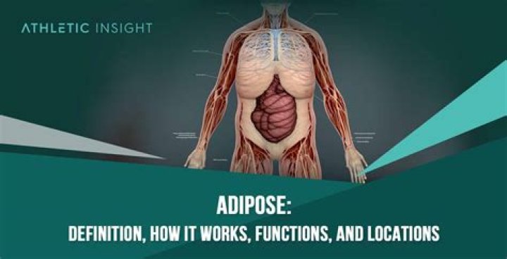What does the medical term adenalgia mean?