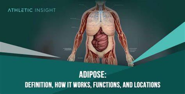 What does the medical term bradypepsia mean?