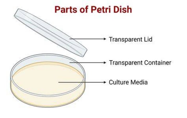 What is a dish rag used for?