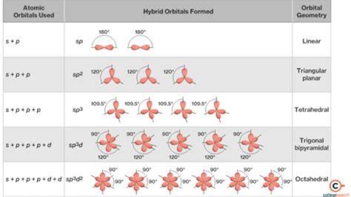 What is introgressive hybridization?