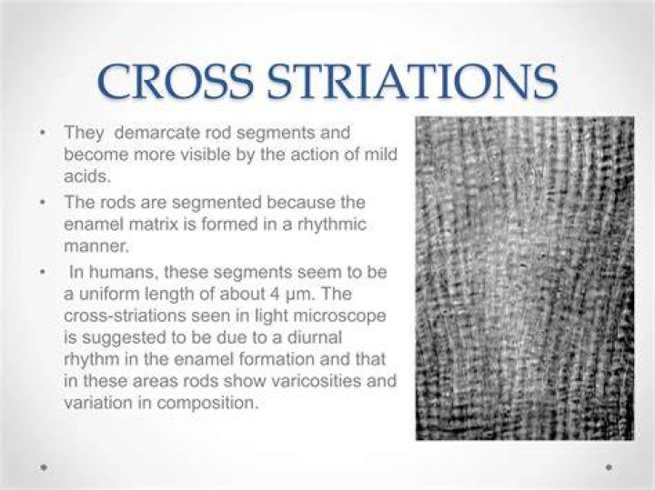 When are striations formed?