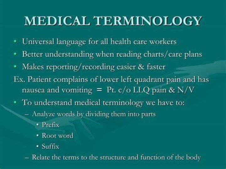 When did medical terminology begin?