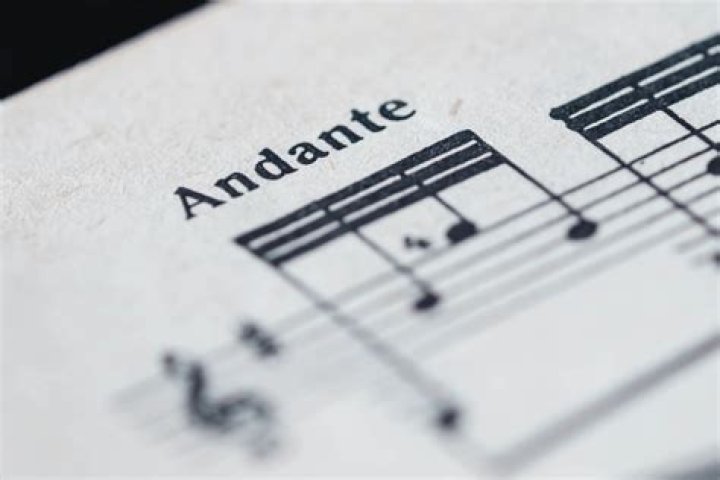 When to use andante in a sentence?