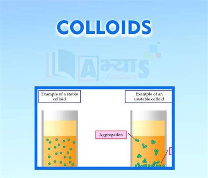 Where are the properties of colloids?