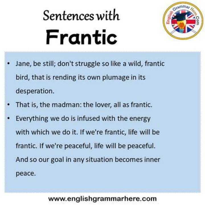 Which is the closest antonym for the word frantic?