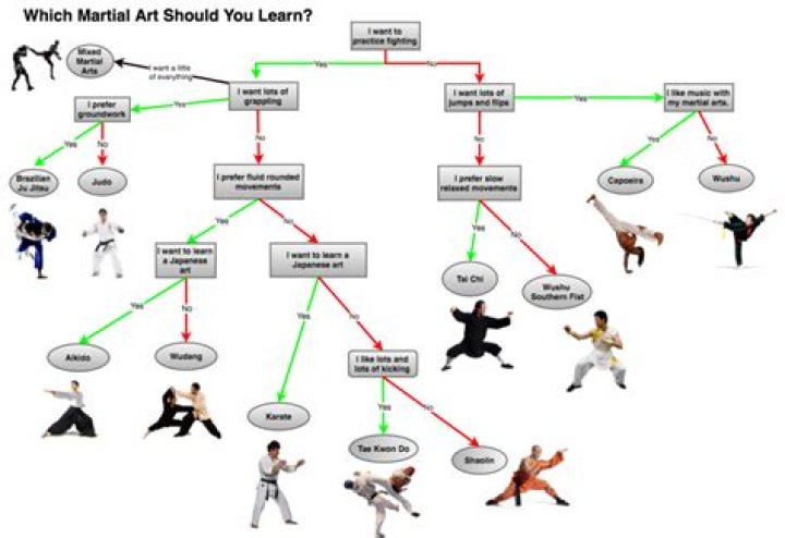 Which martial art should i learn?