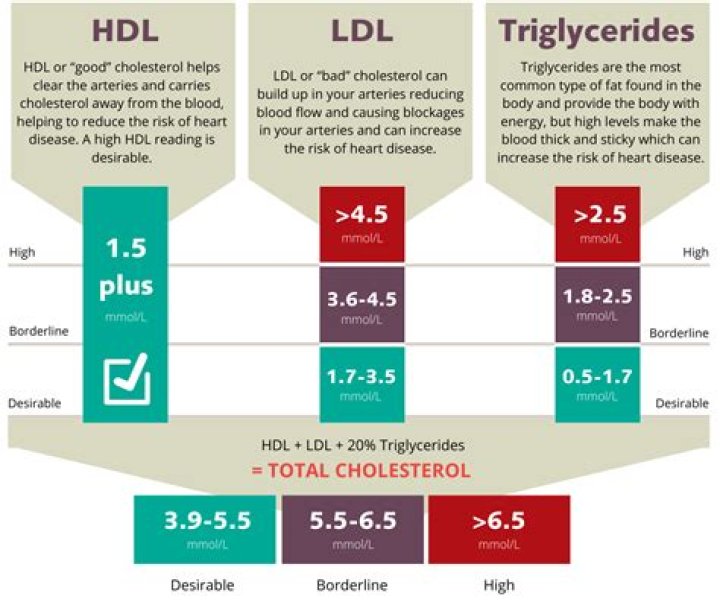 Which test measures hdl and ldl in the blood?
